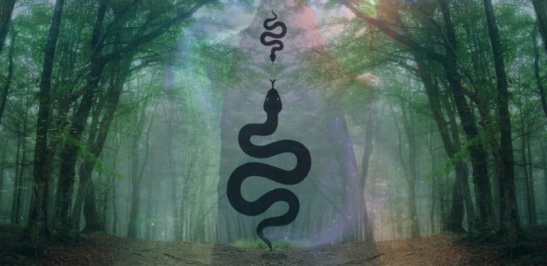 The Great Mother - Etymology, Origins, and Resurgence