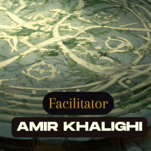 Facilitator Amir Khalighi
